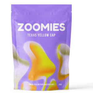 Texas Yellow Cap | Magic Mushrooms Winnipeg Canada