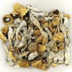 Orissa | Magic Mushrooms Winnipeg Canada