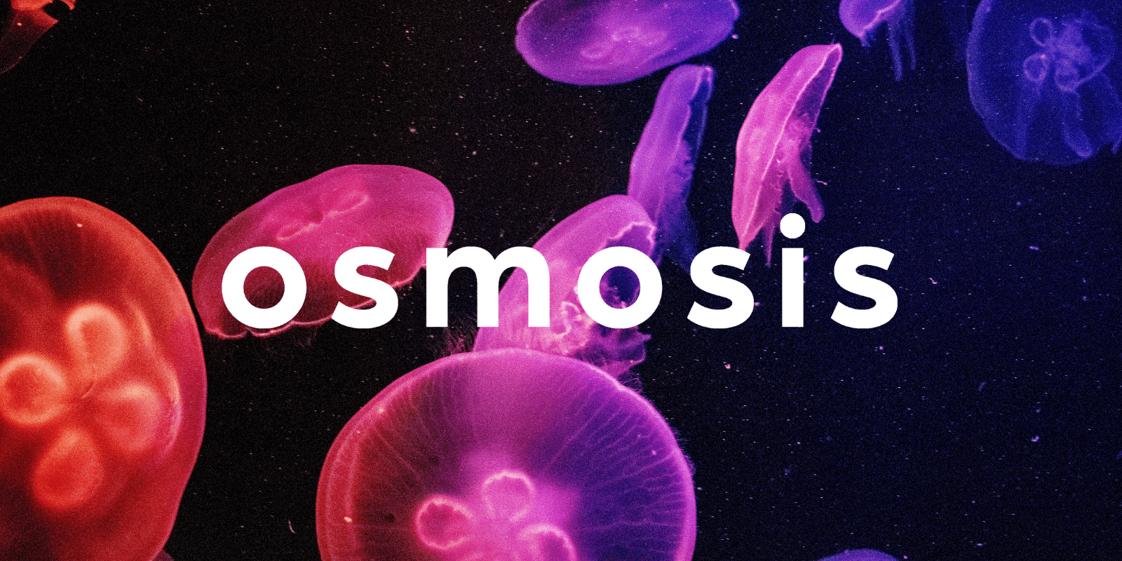 Zoomies osmosis banner | Magic Mushrooms Winnipeg Canada