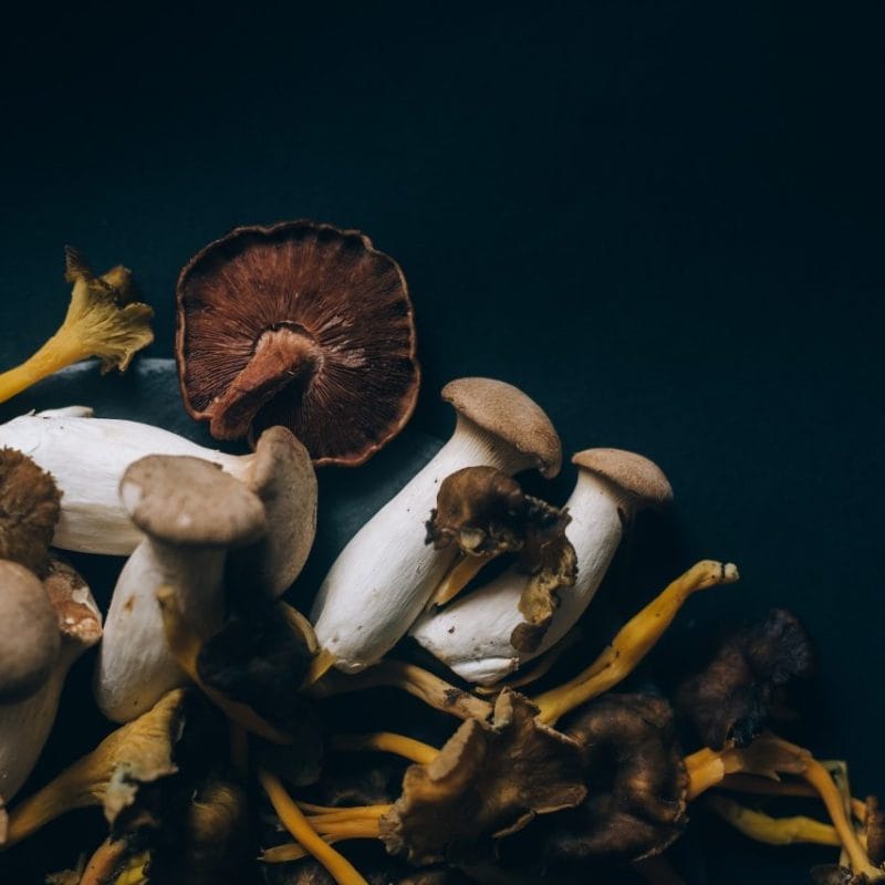 Dried Shrooms | Magic Mushrooms Winnipeg Canada