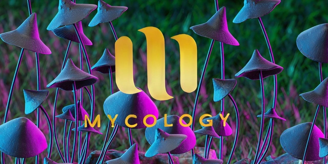 Zoomies Summer 2023 Banner - Mycology | Magic Mushrooms Winnipeg Canada