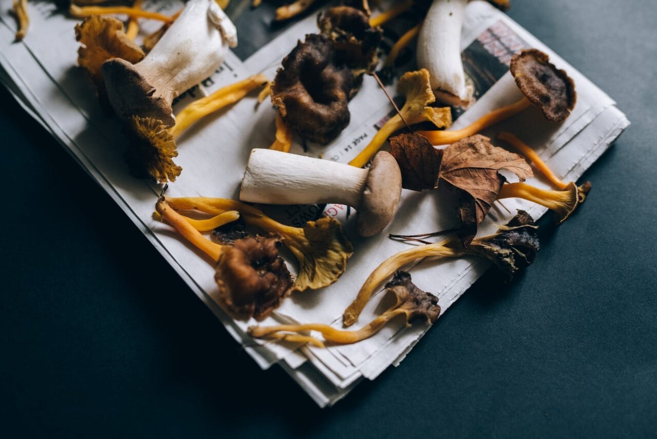 Is it a Good Pairing: Mushrooms and Chocolate?
