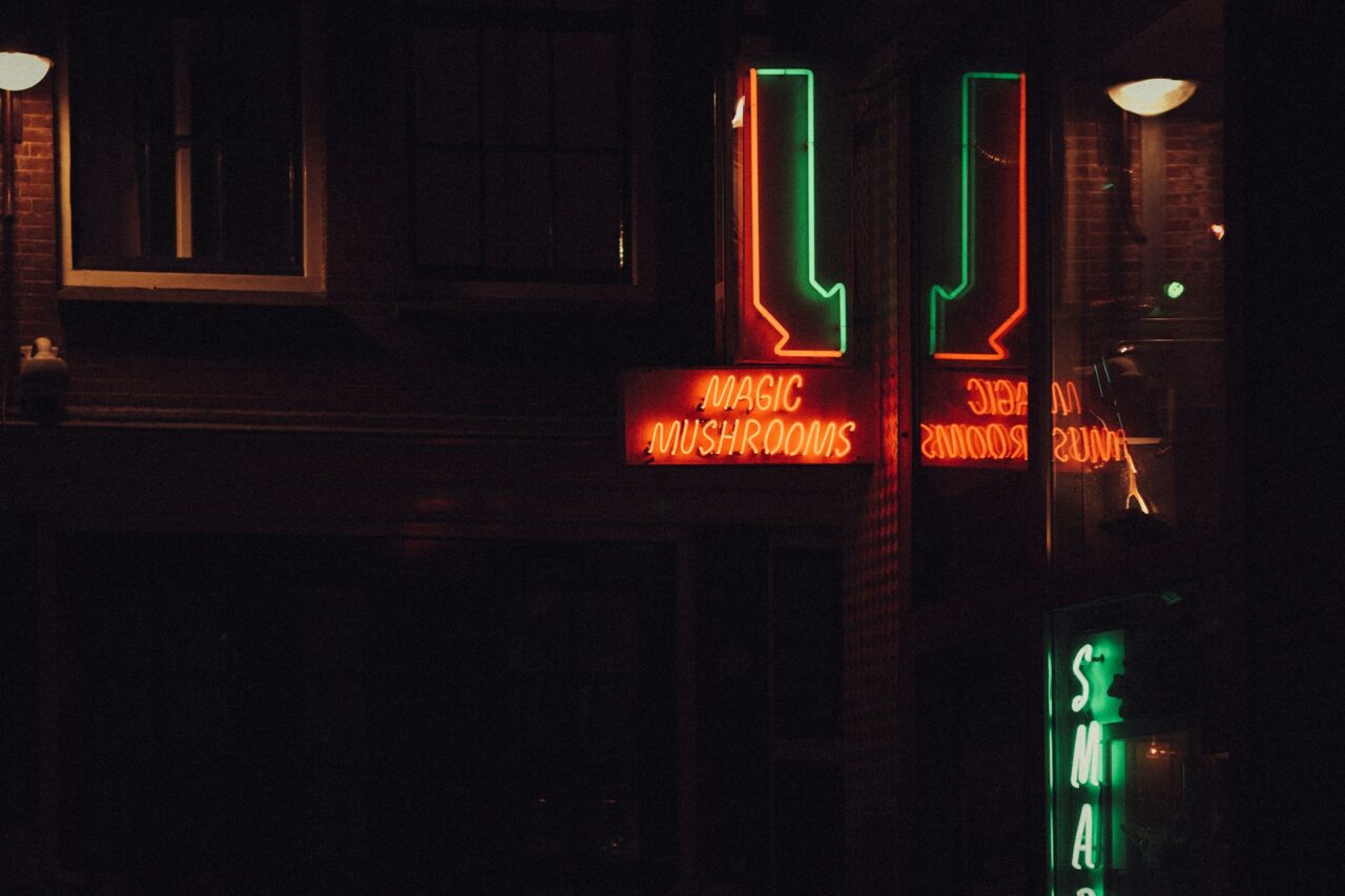 Vancouver’s Mushroom Dispensary – Canada’s Progress in Catching Up with the US Psychedelic Mushroom Surge?